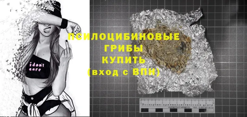 Псилоцибиновые грибы MAGIC MUSHROOMS  купить наркотик  Балахна 